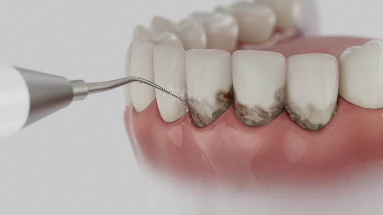 Reliable Dental contractor in César Chávez, TX by Dentist Open Now